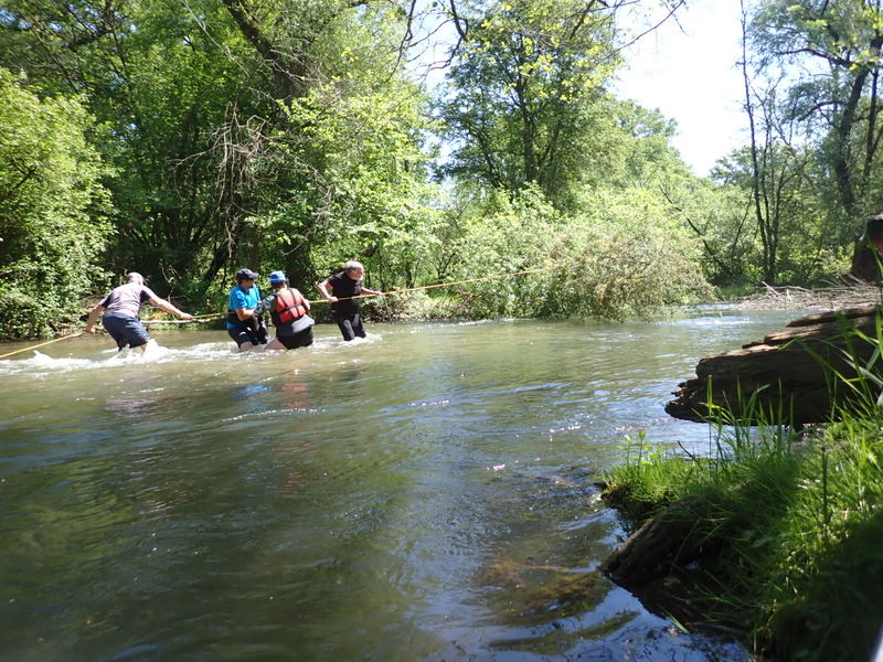 Starke Paddler beseitigen ein Baumhindernis 