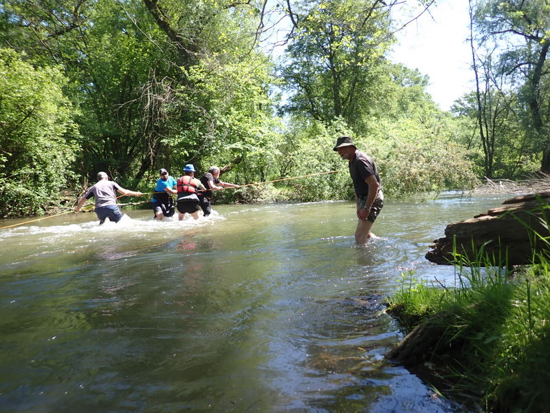 Der Baum ist störrisch