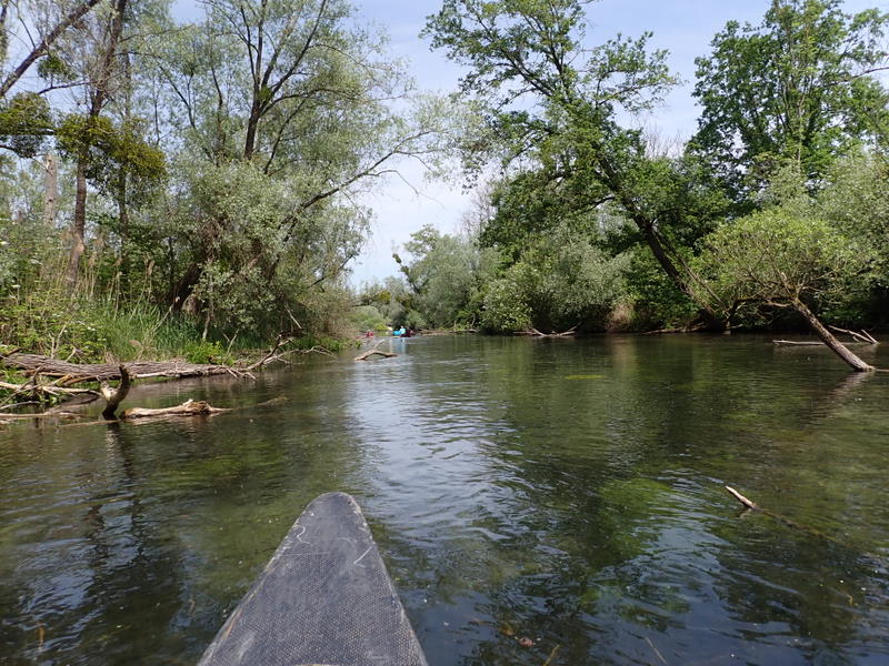 Auf dem Groschenwasser im idyllischen Auwald 