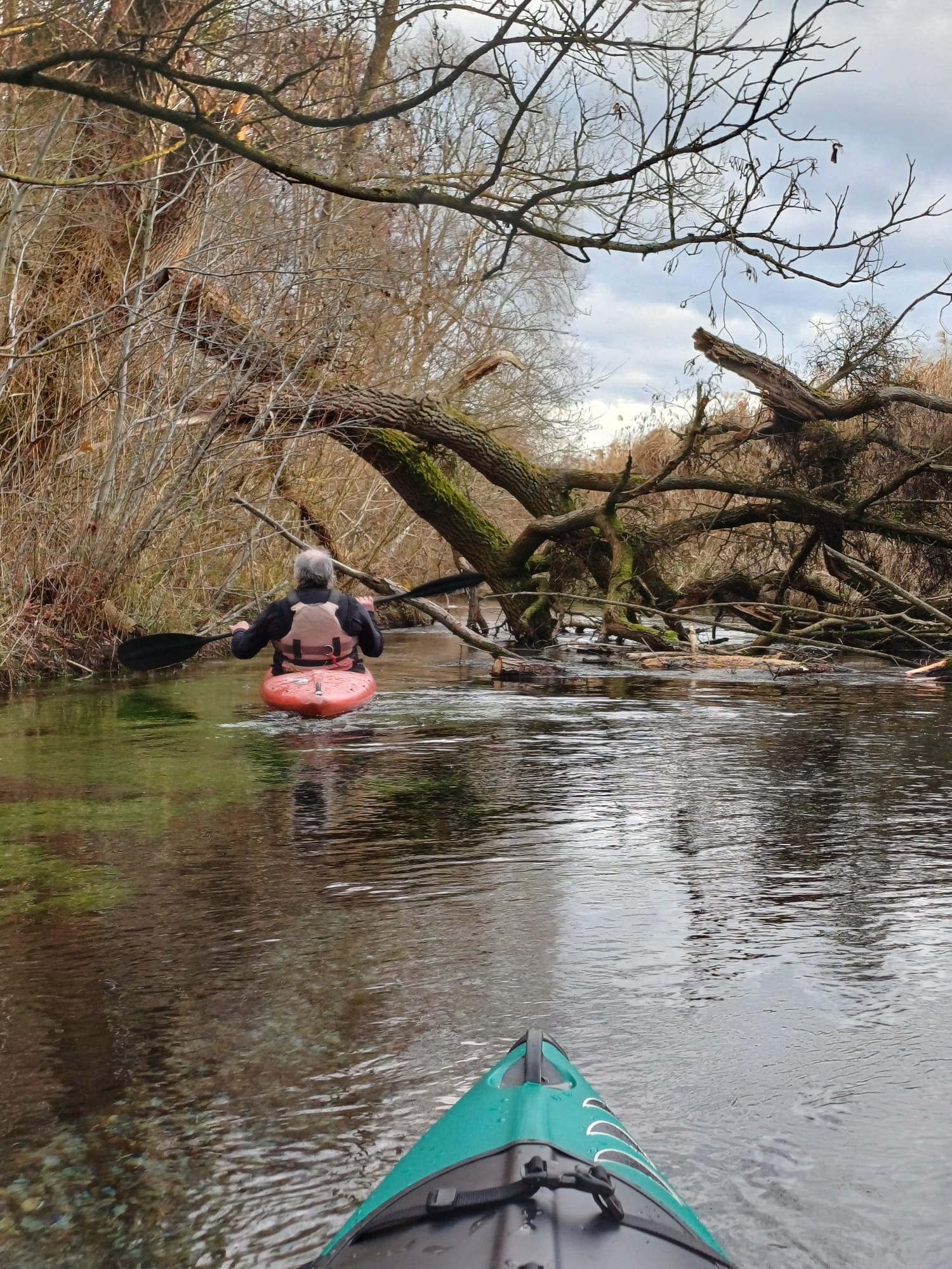 Durchfahrt ist durch Baumhindernisse blockiert