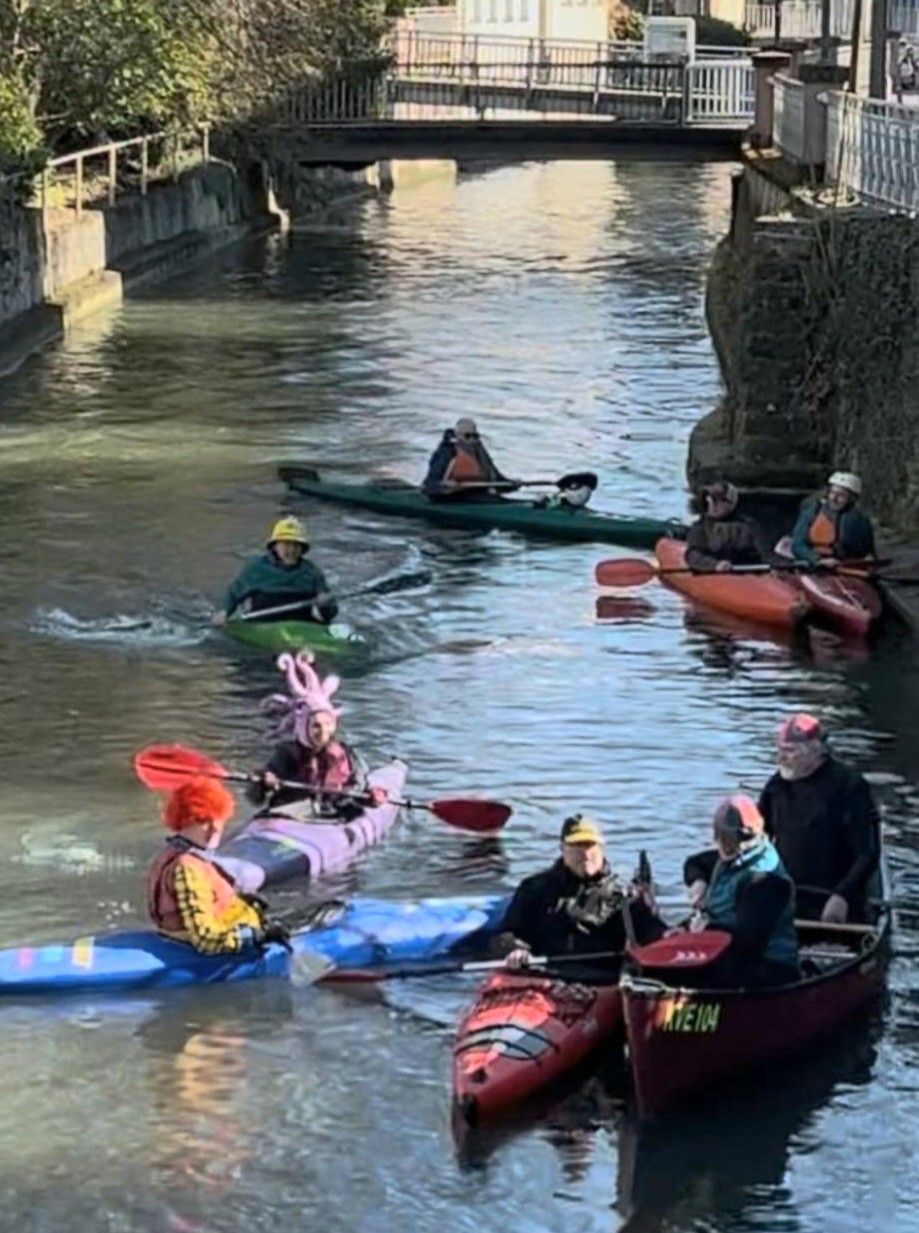 Faschingsumzug auf dem Rossneckar