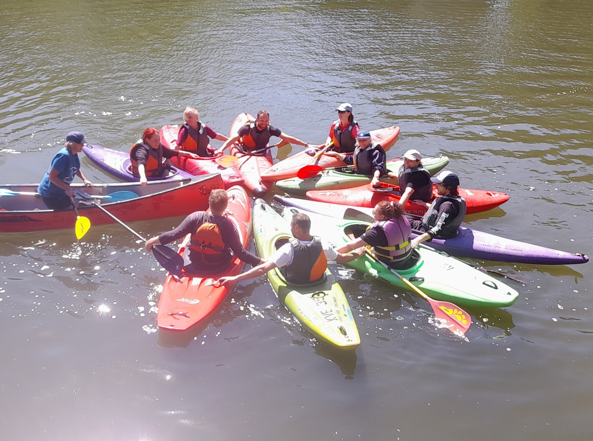 Eine seltene Kanublume blüht auf dem Neckar